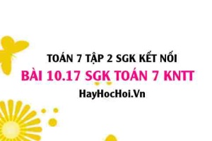Bài 10.17 SGK Toán 7 Tập 2 Kết nối tri thức: Nhận biết các yếu tố của hình lăng trụ đứng tứ giác